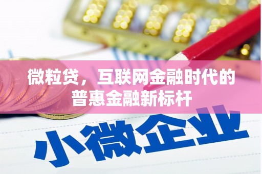 高坪微粒贷，互联网金融时代的普惠金融新标杆