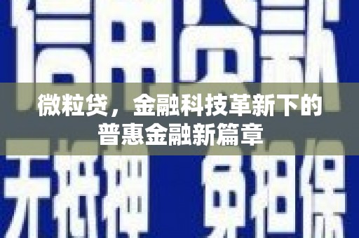 高坪微粒贷，金融科技革新下的普惠金融新篇章