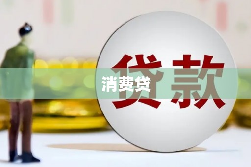 高坪消费贷
