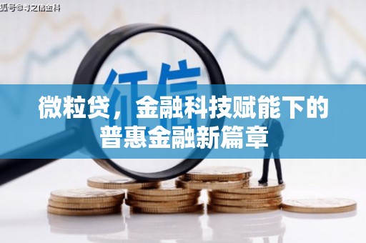 高坪微粒贷，金融科技赋能下的普惠金融新篇章