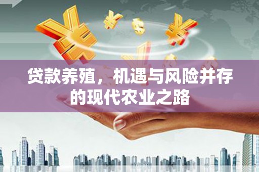 高坪贷款养殖，机遇与风险并存的现代农业之路