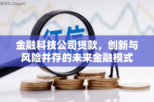 高坪金融科技公司贷款，创新与风险并存的未来金融模式