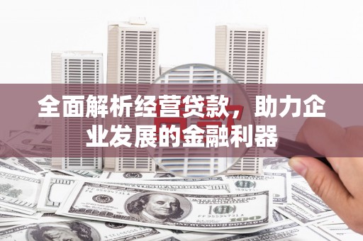 高坪全面解析经营贷款，助力企业发展的金融利器