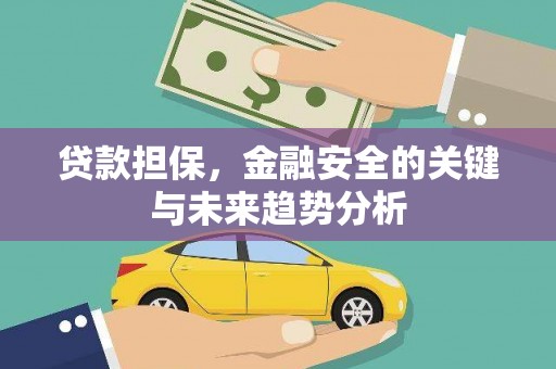 高坪贷款担保，金融安全的关键与未来趋势分析
