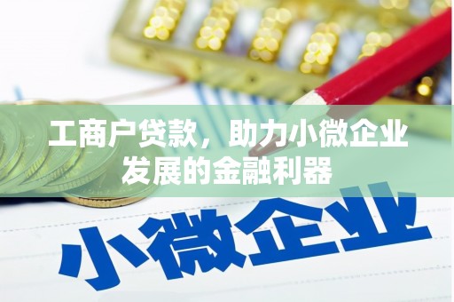高坪工商户贷款，助力小微企业发展的金融利器