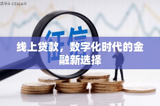 高坪线上贷款，数字化时代的金融新选择