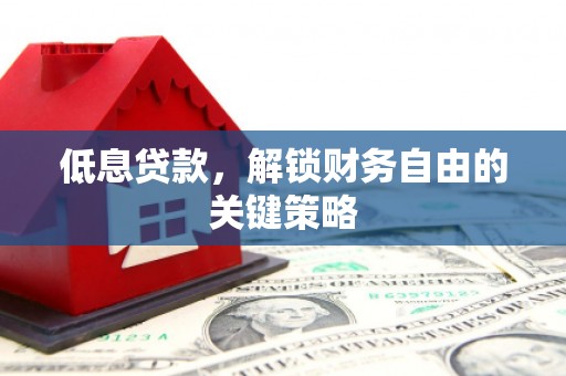 高坪低息贷款，解锁财务自由的关键策略