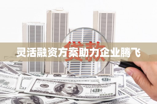 高坪灵活融资方案助力企业腾飞