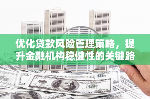 高坪优化贷款风险管理策略，提升金融机构稳健性的关键路径