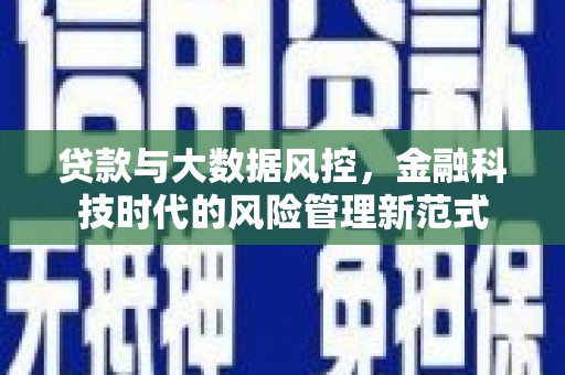 高坪贷款与大数据风控，金融科技时代的风险管理新范式