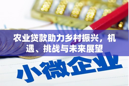 高坪农业贷款助力乡村振兴，机遇、挑战与未来展望
