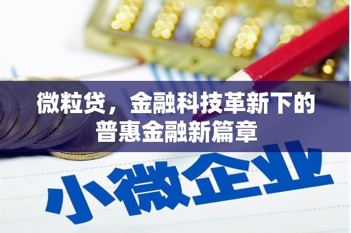 高坪微粒贷，金融科技革新下的普惠金融新篇章