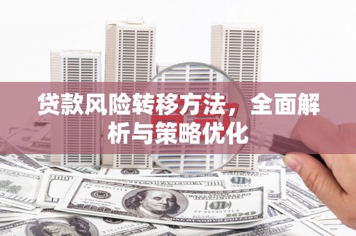 高坪贷款风险转移方法，全面解析与策略优化