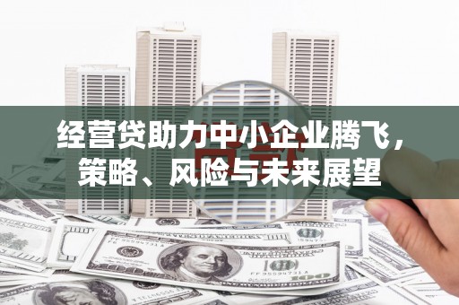 高坪经营贷助力中小企业腾飞，策略、风险与未来展望