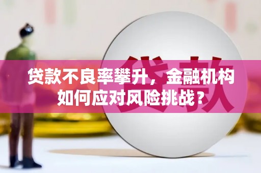 高坪贷款不良率攀升，金融机构如何应对风险挑战？