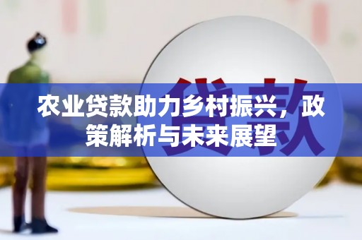 高坪农业贷款助力乡村振兴，政策解析与未来展望
