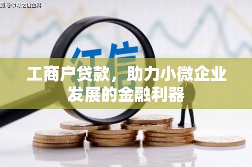 高坪工商户贷款，助力小微企业发展的金融利器