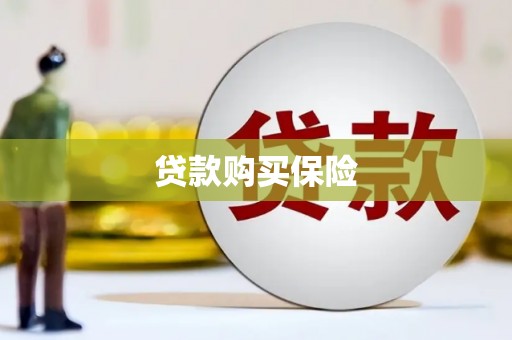 高坪贷款购买保险