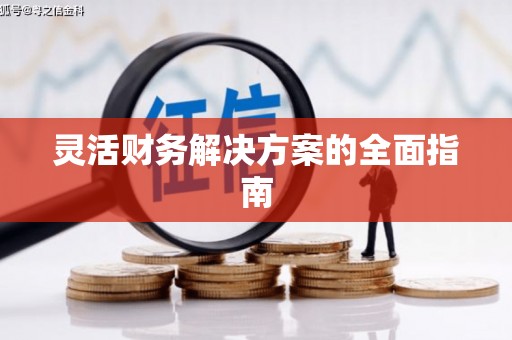 高坪灵活财务解决方案的全面指南