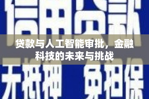 高坪贷款与人工智能审批，金融科技的未来与挑战