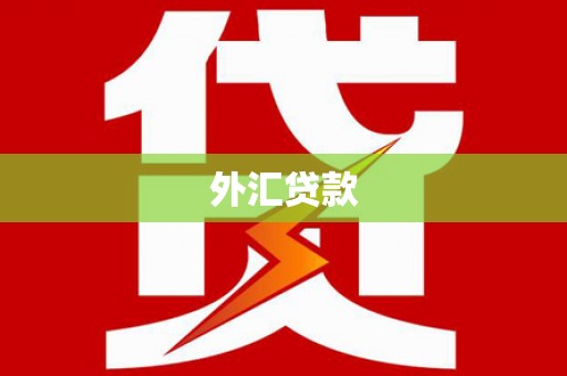 高坪外汇贷款