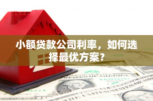 高坪小额贷款公司利率，如何选择最优方案？