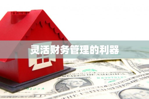 高坪灵活财务管理的利器