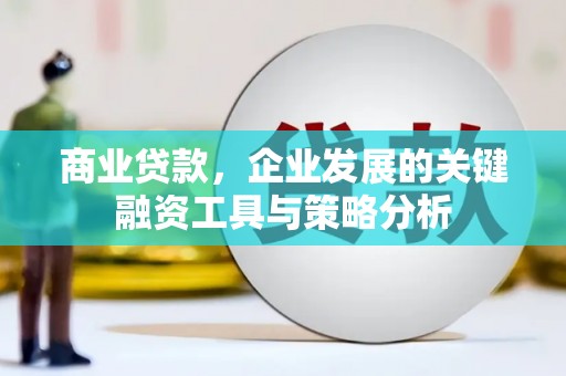 高坪商业贷款，企业发展的关键融资工具与策略分析