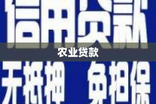 高坪农业贷款
