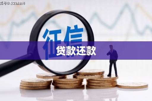 高坪贷款还款