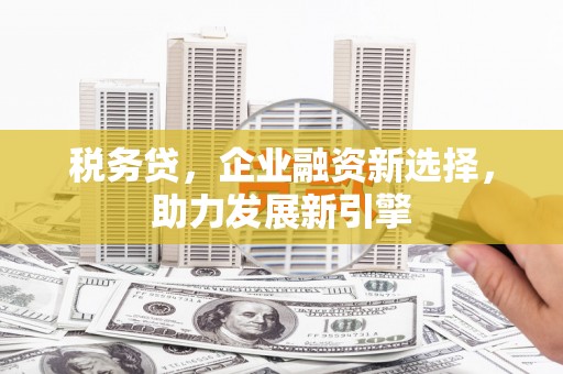 高坪税务贷，企业融资新选择，助力发展新引擎