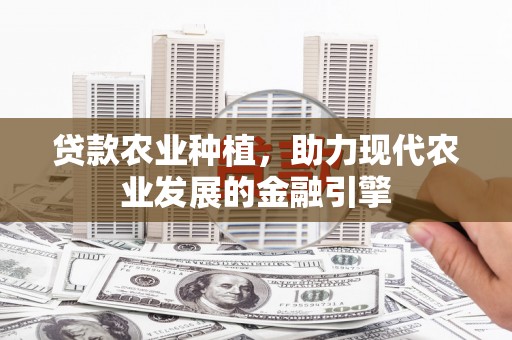 高坪贷款农业种植，助力现代农业发展的金融引擎