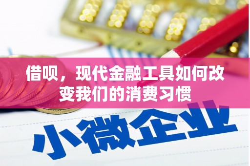 高坪借呗，现代金融工具如何改变我们的消费习惯