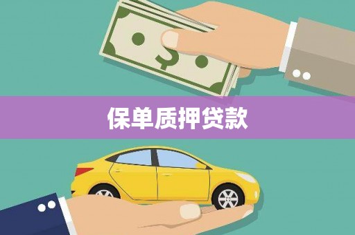 高坪保单质押贷款
