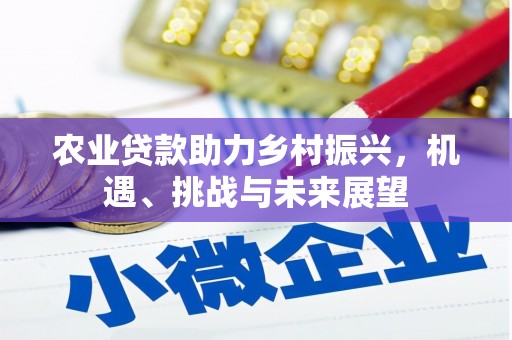 高坪农业贷款助力乡村振兴，机遇、挑战与未来展望