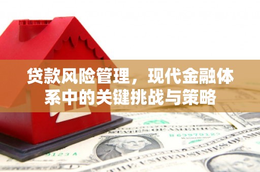 高坪贷款风险管理，现代金融体系中的关键挑战与策略