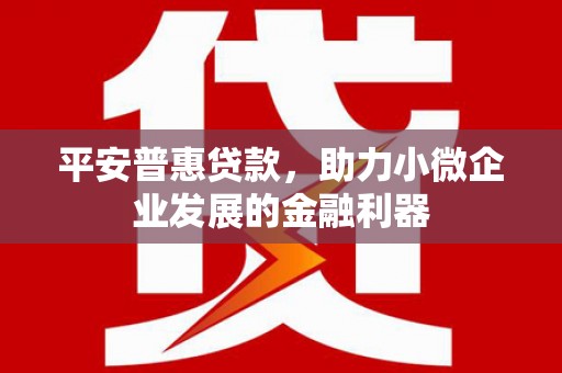 高坪平安普惠贷款，助力小微企业发展的金融利器