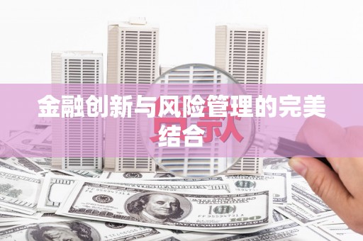高坪金融创新与风险管理的完美结合