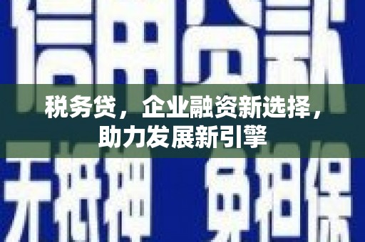 高坪税务贷，企业融资新选择，助力发展新引擎