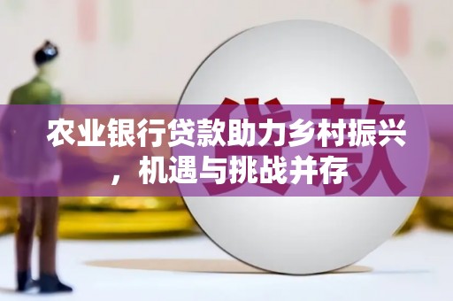 高坪农业银行贷款助力乡村振兴，机遇与挑战并存