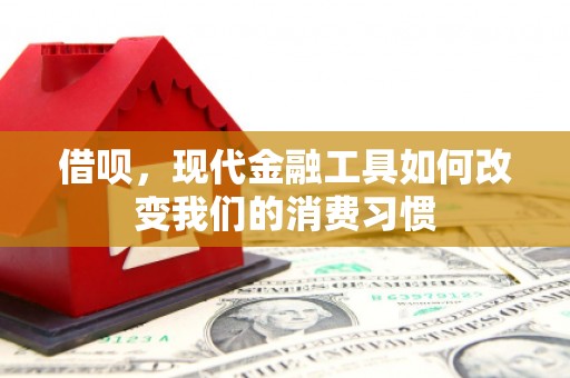 高坪借呗，现代金融工具如何改变我们的消费习惯