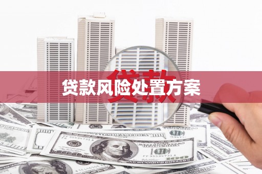 高坪贷款风险处置方案