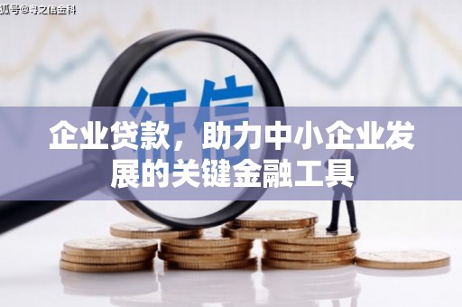 高坪企业贷款，助力中小企业发展的关键金融工具
