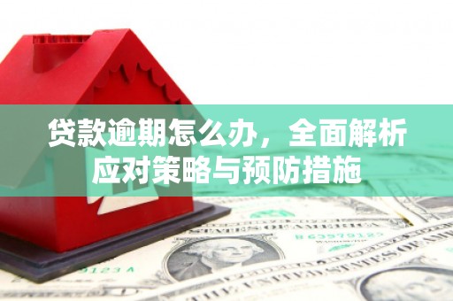 高坪贷款逾期怎么办，全面解析应对策略与预防措施