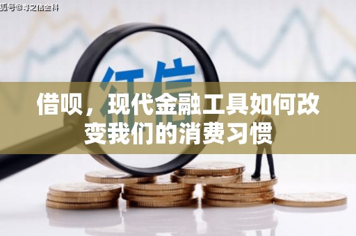 高坪借呗，现代金融工具如何改变我们的消费习惯