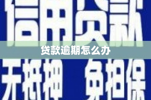 高坪贷款逾期怎么办