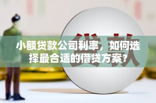 高坪小额贷款公司利率，如何选择最合适的借贷方案？