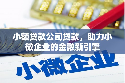 高坪小额贷款公司贷款，助力小微企业的金融新引擎