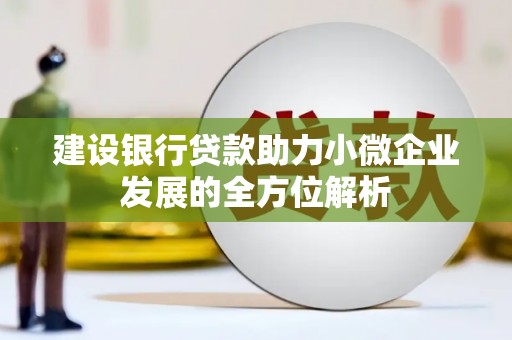 高坪建设银行贷款助力小微企业发展的全方位解析