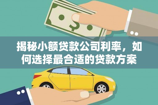 高坪揭秘小额贷款公司利率，如何选择最合适的贷款方案